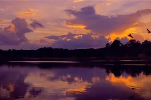 940 Lakewind, Sanford, NC 27332 - Photo 9