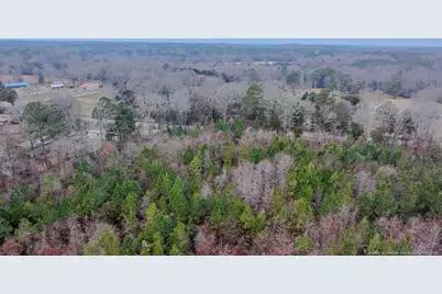 Tbd Flint Hill Church Road, Robbins, NC 27325 - Photo 9