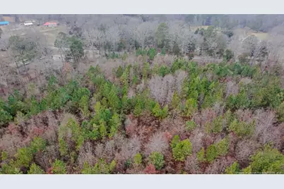 Tbd Flint Hill Church Road, Robbins, NC 27325 - Photo 5