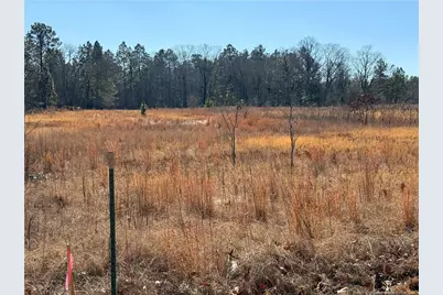 5745 Turnpike Road, Raeford, NC 28376 - Photo 3