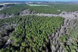 Tbd Nc Hwy 130 Hwy, Fairmont, NC 28340 - Photo 5