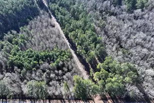 Tbd Nc Hwy 130 Hwy, Fairmont, NC 28340 - Photo 3