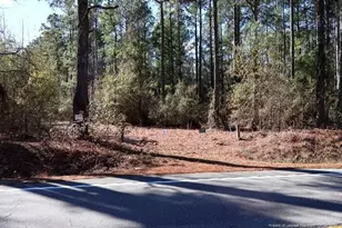 Tbd Nc Hwy 130 Hwy, Fairmont, NC 28340 - Photo 9