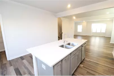 458 Carolina Springs Boulevard, Apex, NC 27539 - Photo 11