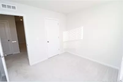 458 Carolina Springs Boulevard, Apex, NC 27539 - Photo 33