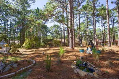 642 Redwood Drive, Southern Pines, NC 28387 - Photo 49