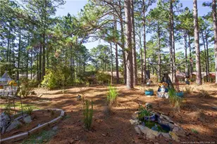 642 Redwood Dr, Southern Pines, NC 28387 - Photo 49