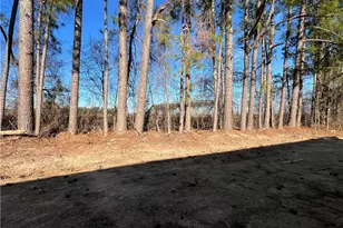 129 Traveller Way, Raeford, NC 28376 - Photo 17