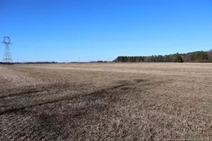 Tbd S Old Wire Rd, Red Springs, NC 28377 - Photo 31