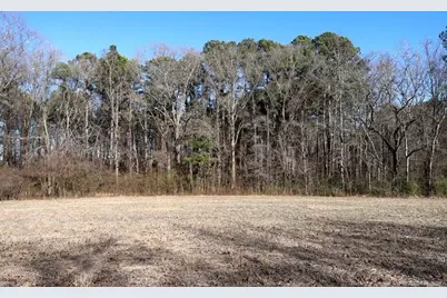 Tbd S Old Wire Road, Red Springs, NC 28377 - Photo 25