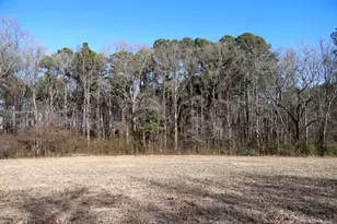 Tbd S Old Wire Rd, Red Springs, NC 28377 - Photo 25