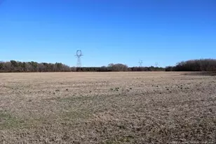 Tbd S Old Wire Rd, Red Springs, NC 28377 - Photo 33