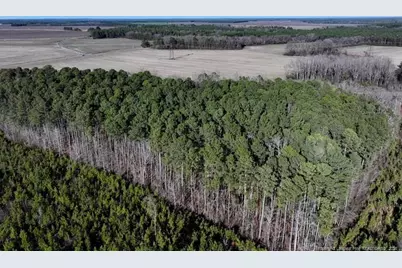 Tbd S Old Wire Road, Red Springs, NC 28377 - Photo 5