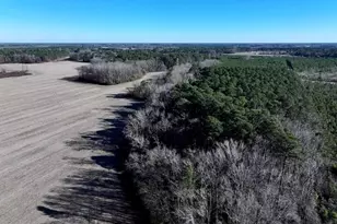 Tbd S Old Wire Rd, Red Springs, NC 28377 - Photo 3