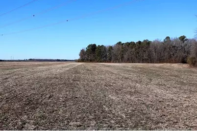 Tbd S Old Wire Road, Red Springs, NC 28377 - Photo 13