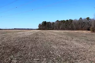 Tbd S Old Wire Rd, Red Springs, NC 28377 - Photo 13