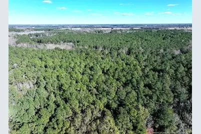 Tbd Stuarts Mill Road, Fairmont, NC 28340 - Photo 5