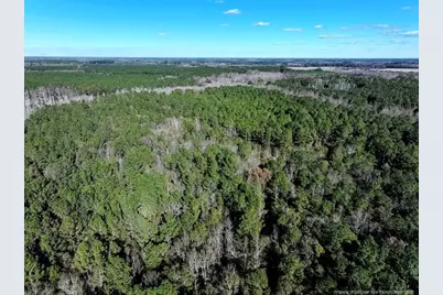 Tbd Stuarts Mill Road, Fairmont, NC 28340 - Photo 3