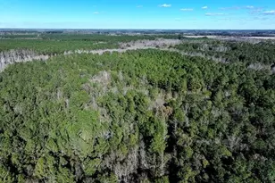 Tbd Stuarts Mill Rd, Fairmont, NC 28340 - Photo 3