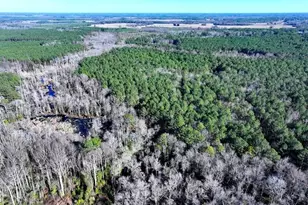 Tbd Stuarts Mill Rd, Fairmont, NC 28340 - Photo 1