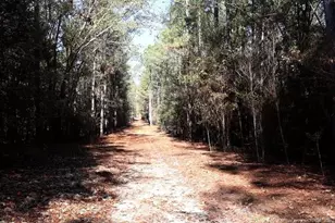 Tbd Stuarts Mill Rd, Fairmont, NC 28340 - Photo 7