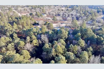 196 Autumn Drive, Vass, NC 28394 - Photo 41