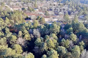 196 Autumn Dr, Vass, NC 28394 - Photo 41