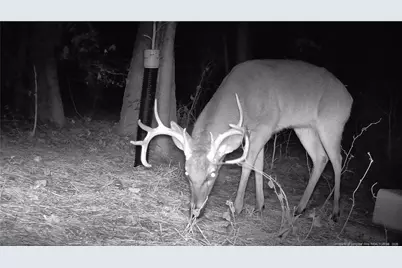 196 Autumn Drive, Vass, NC 28394 - Photo 43