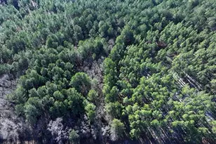 Nc Hwy 130 Hwy, Fairmont, NC 28340 - Photo 1