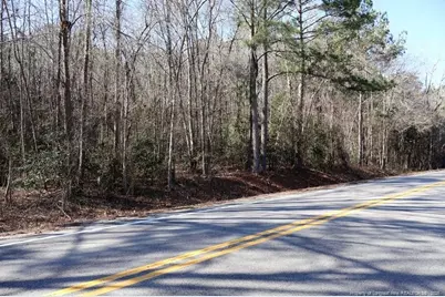 Nc Hwy 130 Highway, Fairmont, NC 28340 - Photo 3