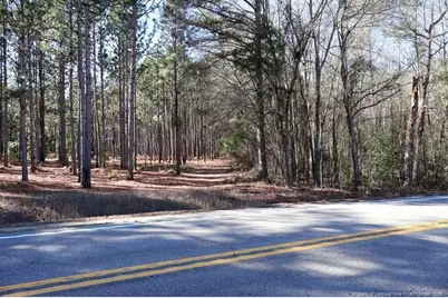 Nc Hwy 130 Highway, Fairmont, NC 28340 - Photo 9