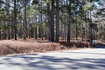 Nc Hwy 130 Highway, Fairmont, NC 28340 - Photo 11