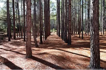 Nc Hwy 130 Highway, Fairmont, NC 28340 - Photo 5