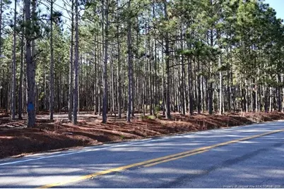 Nc Hwy 130 Highway, Fairmont, NC 28340 - Photo 3