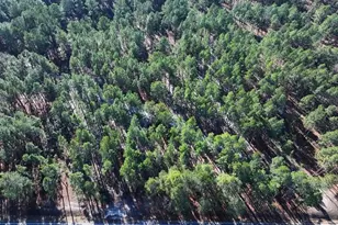 Nc Hwy 130 Hwy, Fairmont, NC 28340 - Photo 1