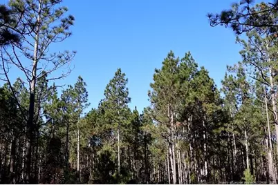 Stuarts Mill Road, Fairmont, NC 28340 - Photo 5