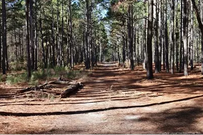 Stuarts Mill Road, Fairmont, NC 28340 - Photo 7