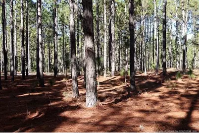 Stuarts Mill Road, Fairmont, NC 28340 - Photo 3