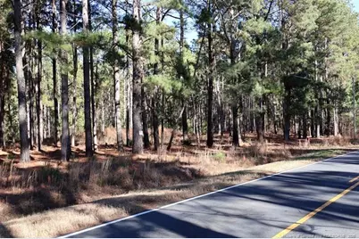 Stuarts Mill Road, Fairmont, NC 28340 - Photo 9