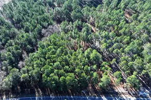 Stuarts Mill Rd, Fairmont, NC 28340 - Photo 1