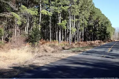 Stuarts Mill Road, Fairmont, NC 28340 - Photo 13