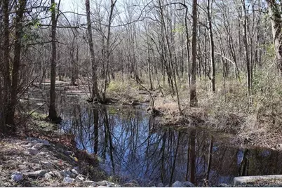 Tbd Nc Hwy 130 Highway, Fairmont, NC 28340 - Photo 9