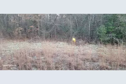 0 Melie Lee Road, Fayetteville, NC 28312 - Photo 9