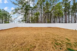 917 Ocean Courts, Carthage, NC 28327 - Photo 29