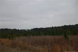 Lot 31 Stuarts Mill Rd, Fairmont, NC 28340 - Photo 1