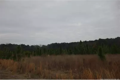 Lot 33 Stuarts Mill Road, Fairmont, NC 28340 - Photo 1