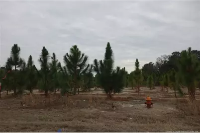 Lot 35 Stuarts Mill Road, Fairmont, NC 28340 - Photo 1