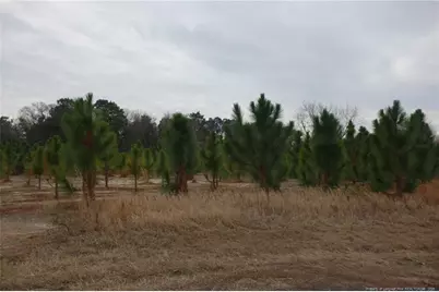 Lot 39 Stuarts Mill Road, Fairmont, NC 28340 - Photo 1