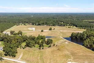 525 Sanctuary Trail, Cameron, NC 28326 - Photo 3