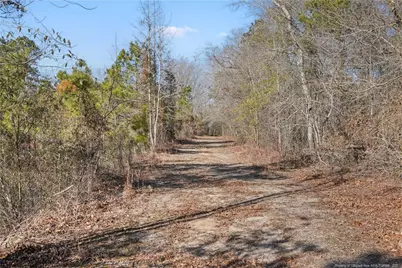 73 Scotch Lane, Saint Pauls, NC 28384 - Photo 31